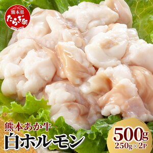 yӂ邳Ɣ[ŁzF{ z (250g×2pbN) v500g Ⓚ^pbN F{ F{Y  Ⓚ ^  z Ă Y BY Ⓚ ^  041-0135