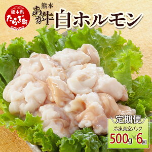 yӂ邳Ɣ[Łzy6zF{ z v3Kg (250g×2)×6 Ⓚ^pbNy F{ F{Y  Ⓚ ^  z Ă z 041-0140