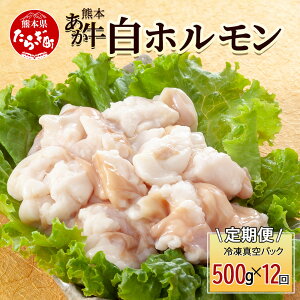 yӂ邳Ɣ[Łz y12zF{ z 500g (250g×2)×12 y v 6Kg z Ⓚ^pbN y F{ F{Y  Ⓚ ^  z Ă z 041-0163