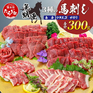 yӂ邳Ɣ[Łz 񐔑Iׂ 3̔nh 300gyԐgEt^GSETKe100gz 3 6 z nh Ⓚ n  F{ F{ ǖؒ ΂  3 荇킹 oGeB 