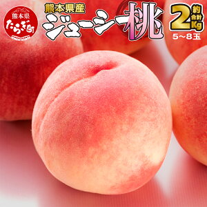 yӂ邳Ɣ[Łzss\t  2kg  5`8ʓ s2026N6{`t t[c ʕ fU[g BY F{Y {   s[` F{ ǖؒ Y  2L Â