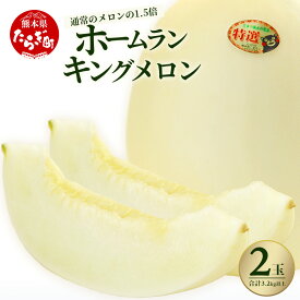 【ふるさと納税】≪2026年 先行予約≫ 熊本県産 ホームラン メロン キング(王) 2玉 合計3.2kg以上 糖度15～16度 果物 フルーツ 甘い さわやか 大玉 熊本県 多良木町 送料無料 【2026年5月上旬より順次発送】