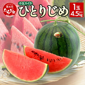【ふるさと納税】《先行予約》5月上旬〜順次発送 熊本県産 小玉 スイカ ひとりじめ 1玉 【4.5kg以上】 すいか 果物 フルーツ 甘い 熊本県 多良木町 ひとりじめ かわいい 食べきりサイズ 送料無料 2026年5月上旬より順次発送