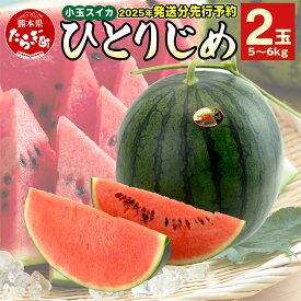 【ふるさと納税】8月中旬～順次発送 熊本県産 小玉 スイカ ひとりじめ 2玉 合計5～6kg すいか 果物 フルーツ 甘い 熊本県 多良木町 ひとりじめ かわいい 送料無料 《8月中旬より順次発送》