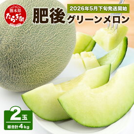 【ふるさと納税】《先行予約》肥後グリーン メロン【大玉】 2玉 合計4kg以上 熊本県産 産地直送 肥後グリーン 甘い 果物 フルーツ メロン 肥後 令和8年 大 サイズ L 熊本県 多良木町 5月下旬～順次発送 送料無料