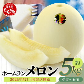 【ふるさと納税】≪2026年 先行予約≫ 熊本県産 ホームランメロン 4～6玉 合計約5kg 糖度15～16度 メロン ホームラン 果物 フルーツ 甘い さわやか 熊本県 多良木町 送料無料 【2026年5月上旬より順次発送】