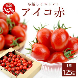 yӂ邳Ɣ[Łz{ɔIYn F{Y ~jg}guACR (ԐF)v1.25`2.5kg Yg}g ACR Ƃ܂ Â F{ ǖؒ _ VN eʑIׂ t[cg}g t