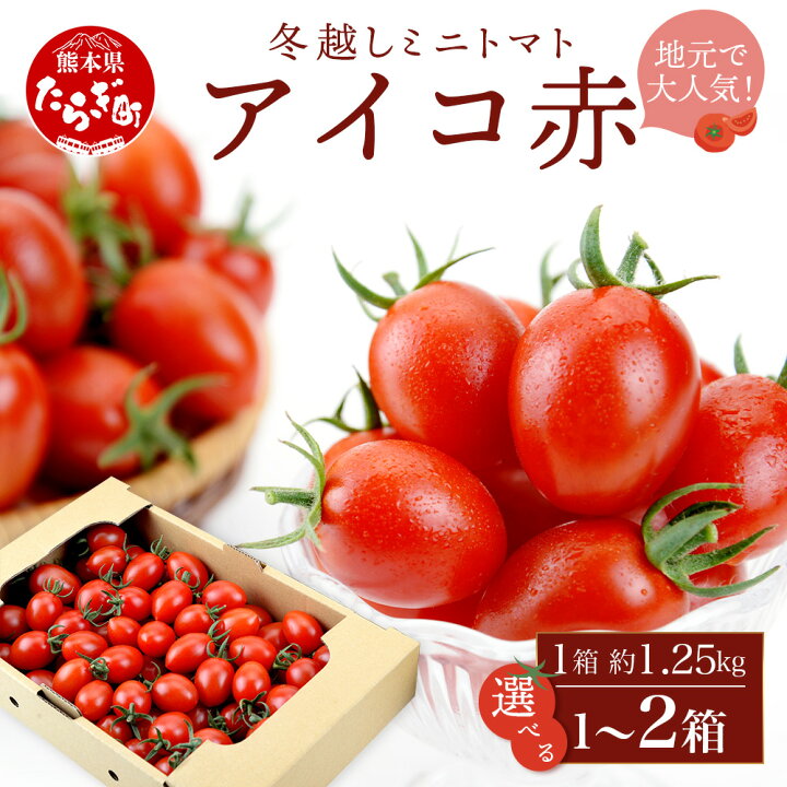 楽天市場】【ふるさと納税】本当に美味しい！冬越え ミニトマト 