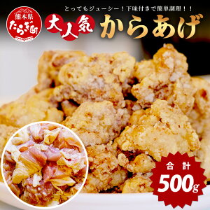 yӂ邳Ɣ[Łz㐸X lC 炠 500g Y { t W[V[ y Ⓚ Y ٓ   XgbN ֗ Y JAQ t g 1~ ȉ 