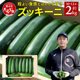 【ふるさと納税】中神農園の ズッキーニ 約2kg (10～12本) 【11月上旬～5月下旬発送】産地直送 野菜 夏 やさい 煮る 炒める 生食 ミネラル ビタミンC ずっきーに 新鮮 甘み 酸味 用途多様 国産 九州 熊本県 多良木町 送料無料
