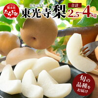 【ふるさと納税】高レビュー！【7月下旬～発送分】東光寺梨 約2.5kg～4...