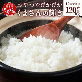 【ふるさと納税】お米《定期便12回》計120kg 多良木町産 『くまさんの輝き』 10kg (5kg×2袋) ×12回 米 お米 白米 精米 熊本県産 多良木町 艶 粘り 甘み うま味 もちもち 熊本のお米 120キロ 10kgずつ届く毎月お届け 1年間 044-0591 送料無料 新着