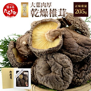 yӂ邳Ɣ[Łz _ѐYb܎ t ő 205g 蕨  Mtg ΖؖY   蕨 _ѐYb ő ő VC^P  B Y F{ 