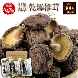 yӂ邳Ɣ[Łz Mtg ΖؖY _ѐYb܎ tő 3܃Zbg v300g 100g×3  Mtg   蕨 ő ő VC^P  B Y F{