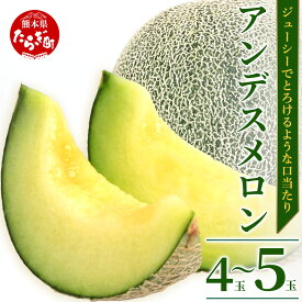 【ふるさと納税】＼2026年発送分 先行予約／ 熊本県産 アンデスメロン 合計約4~5玉 約5kg 【2026年5月上旬～順次発送】 先行予約 青肉 メロン めろん アンデスメロン 糖度 果物 フルーツ 甘い 熊本県 多良木町 送料無料