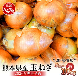 【ふるさと納税】【先行予約】選べる 内容量 熊本県産 玉ねぎ 3kg/5kg/10kg ≪2026年4月下旬から順次発送≫ 選べる 内容量 玉葱 野菜 やさい 旬 たまねぎ オニオン 甘い ハンバーグ 肉じゃが 新鮮 産地直送 送料無料