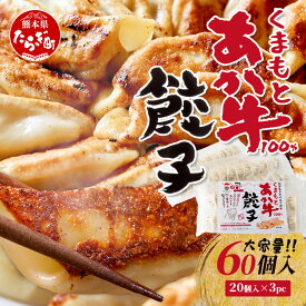 【ふるさと納税】＼年末発送 受付中／くまもとあか牛100％ 餃子 合計60個 20個入り×3パック ※12月23日限定発送※ ぎょうざ ギョウザ 牛肉 熊本 あか牛 小分け おつまみ おかず 惣菜 弁当 年末発送 年内発送 年末年始 国産野菜 冷凍 大容量 国産 九州産 熊本県産 送料無料