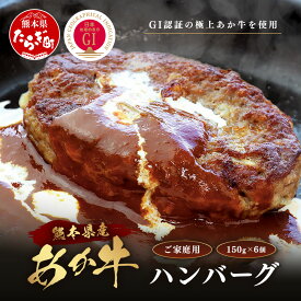 【ふるさと納税】GI認証 くまもとあか牛 ハンバーグ 150g×6個《ご家庭用》牛肉 100％ 生 ハンバーグ 冷凍 熊本県産 あかうし はんばーぐ 和風 総菜 惣菜 おかず おうちご飯 家 和牛 牛肉 オオツカ 肉 国産 冷凍 九州産 熊本県 送料無料