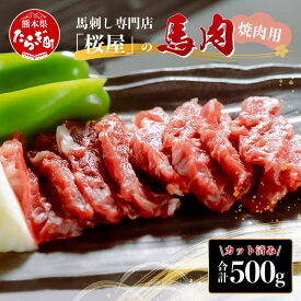 【ふるさと納税】馬肉 焼肉用 500g (カット済) 本場 熊本県 馬焼き 専門店 馬刺し 馬肉 肉 赤身 焼き肉 バーベキュー アウトドア 050-0367