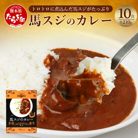 【ふるさと納税】馬スジのカレー 10食セット 合計2.1kg 210g×10個 カレー レトルト カレーライス シェフ監修 惣菜 馬すじ スジ 馬スジ 馬肉 お手軽 グルメ 保存食 非常食 長期保存 熊本県 多良木町 送料無料