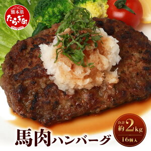 yӂ邳Ɣ[Łznno[O 16Zbg v2kg 130g×16 no[O n IWi y  ȒP y I O ^pbN Ⓚ F{ ǖؒ 