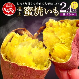 【ふるさと納税】蜜 焼き芋 紅はるか 焼いも 合計2.4kg (120g入り×20) 11月～順次発送 真空パック 焼芋 焼きいも ヤキイモ さつまいも さつま芋 個包装 特殊製法 スイーツ お菓子 おやつ しっとり 甘い 常温 九州産 国産 熊本県 多良木町 送料無料
