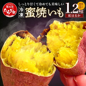yӂ邳Ɣ[ŁzyⓀz  Ă g͂邩 v1.2kg (120g×10) ^ ˂Ƃ Ƃ Â Ĉ Ă LC ₫  ܂  ܈ g͂邩  ꐻ@ 