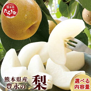 yӂ邳Ɣ[Łzߘa7N Li  3kg`5kg K V V L H H { ʕ t[c Â 傫 W[V[  Ȃ iV YҎx  Ԍ B F{ ǖؒ