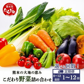 【ふるさと納税】回数選べる 定期便 ≪熊本の大地の恵み ≫ 旬のこだわり野菜詰め合わせ 8〜12品 1回／3回／6回／12回 野菜 獲れたて 直送 旬 熊本県 多良木町 やさい 季節の詰め合わせ 厳選 お試し 産地 直送 国産 季節 野菜 家族 ファミリー 多良木町 送料無料