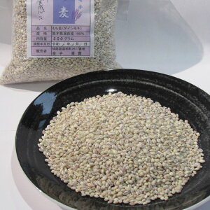yӂ邳Ɣ[ŁzL@JASKiF q̢ 500g×2`4 v1`2kg 1L 2L  G B Y F{ O  yVX[p[SALE 9J