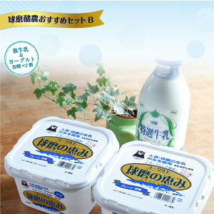 yӂ邳Ɣ[Łz_߃ZbgB r&[Og×2  3 6 12 [Og i XC[c _ Pʋ  ~N N e  N 