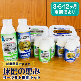 【ふるさと納税】球磨酪農おすすめ 球磨の恵みヨーグルト堪能セット 定期便 3回 6回 12回 送料無料 ヨーグルト 乳製品 スイーツ 乳酸菌 善玉菌 健康 美容 腸活 健康