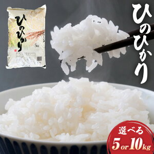 �y�ӂ邳�Ɣ[�Łz���I�ׂ���e�ʁ��y�ߘa7�N�Y�z�q�m�q�J�� 1��5kg 5kg�i1�܁j / �v10kg�i2�܁j ���� ���� ���� �� ���� �P�ꌴ���� ���͂� ���� ���Y ��B �F�{���Y ���O�� �������� �y2026�N10��