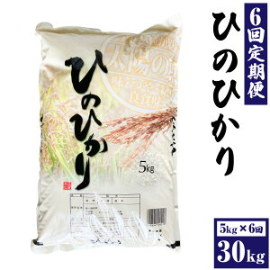 �y�ӂ邳�Ɣ[�Łz�y3�E6��������ցz�q�m�q�J�� 5kg×1�� �v15�`30kg ���� ���� ���� �� ����� 3���� 6���� ��B ���Y �F�{�� ���O�� ��������