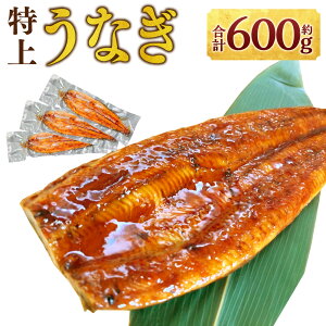 yӂ邳Ɣ[ŁzイȂ 200g×3 v600g ^t EiM V Y ΏĂ  Ⓚ F{ O  yVX[p[SALE 9J