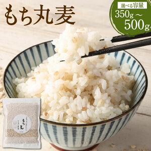 yӂ邳Ɣ[ŁzyIׂeʁzтɂT_ɂI ۔ 350g^500g   Ƃ͂_ G F{Y BY Y F{ O 