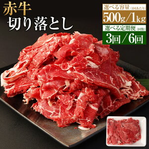 yӂ邳Ɣ[ŁzyIׂeʁ^ցzԋ ؂藎Ƃ 500g×1pbN  500g×2pbNiv1kgj3 6  a    ؂藎 uߕ  p 