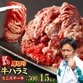 【ふるさと納税】【訳あり】厚切り牛ハラミ ミニステーキ ［選べる容量］500g ～ 1.5kg パック 塩味 牛肉 ステーキ ハラミ 焼肉 焼き肉 BBQ 不揃い 冷凍 外国産 送料無料
