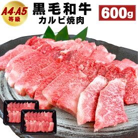 楽天市場 ふるさと納税 精肉 肉加工品 食品 の通販