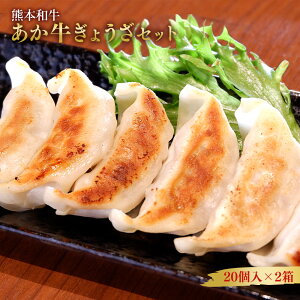 yӂ邳Ɣ[ŁzF{a  傤Zbg v40 20×2 F{Lq ⓀLq Lq M[U 傤 Lq   a ` y Z Y ؂Ղ B 
