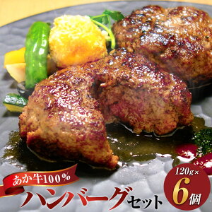 yӂ邳Ɣ[Łz100no[OZbg v720gi120g×6j   a јa y Mtg  Ⓚ F{Y Y B F{ 㑺  yVX[p[SALE 9J