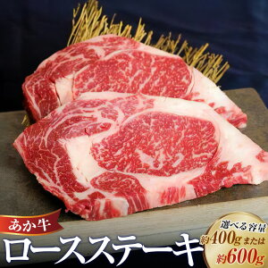 yӂ邳Ɣ[ŁzIׂeʁ [XXe[L v400gi200g×2j v600gi200g×3jXe[L [X ~ F{a    ԋ Y a Y Ⓚ F{ 㑺 
