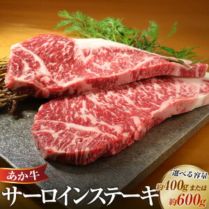 yӂ邳Ɣ[ŁzIׂeʁ T[CXe[L v400gi200g×2j v600gi200g×3jXe[L T[C ~ F{a    ԋ Y a Y Ⓚ F{