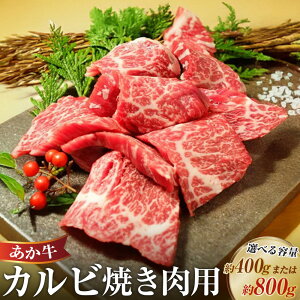 yӂ邳Ɣ[ŁzIׂeʁ Jr Ăp v400g v800g o ē BBQ o F{a    ԋ Y a Y Ⓚ F{ 㑺 
