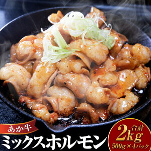 yӂ邳Ɣ[ŁzF{a ~bNXz v2kg 500g×4 z z  咰 Z}C ԃZ}C ~bNX  c F{a    ԋ Y a 