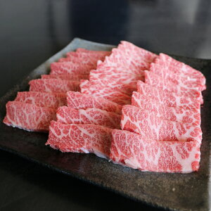 yӂ邳Ɣ[ŁzG21Q IꂽGIF ܂Ƃ I ēp 500g    Y a uh Jbg z[p[eB[ o[xL[ BBQ Ⓚ F{ 㑺  y