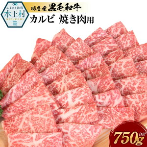 yӂ邳Ɣ[ŁzYјa JrĂp v750g 3 Jr( Oo ̐g Fo ) Hה Hׂ јa a   ēp ē Ă o[xL[ BBQ Y 