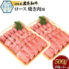 【ふるさと納税】球磨産黒毛和牛 ロース焼き肉用 合計500g (250g×2パック) 黒毛和牛 和牛 ロース お肉 牛肉 スライス 焼肉用 焼肉 焼き肉 バーベキュー BBQ 国産 熊本県産 冷凍 送料無料
