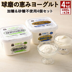 yӂ邳Ɣ[Łzǔb݃[Ogv Esgp 1000g×e2 v4Zbg v4kg 4000g [Og i Rhu ① F{ lgY 