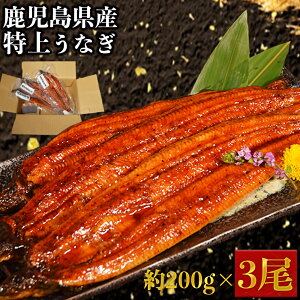 yӂ邳Ɣ[ŁzイȂ 600g (200g×3) ^t Ȃ V EiM Y BY Ă ΂₫ Ⓚ ȏd Ђ܂Ԃ ^  yVX[p[SALE 9J